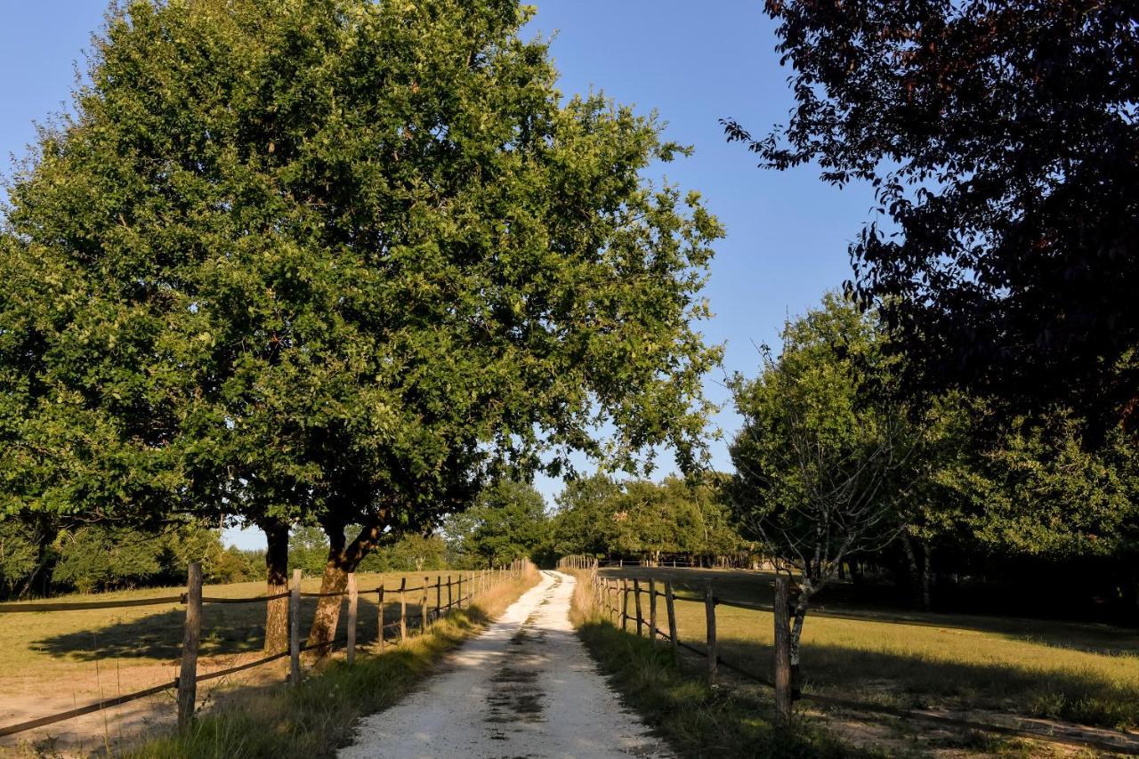 Domaine Verte Vallee Lignan-de-Bordeaux Exteriér fotografie